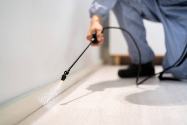 Licensed Pest Control service in Billings, MT - Show Me Pest Control