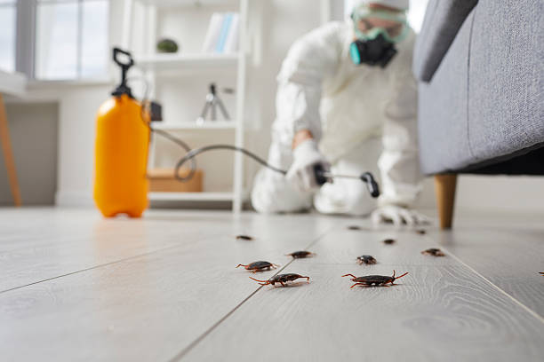 Commercial Kitchen Cockroach Control in Billings